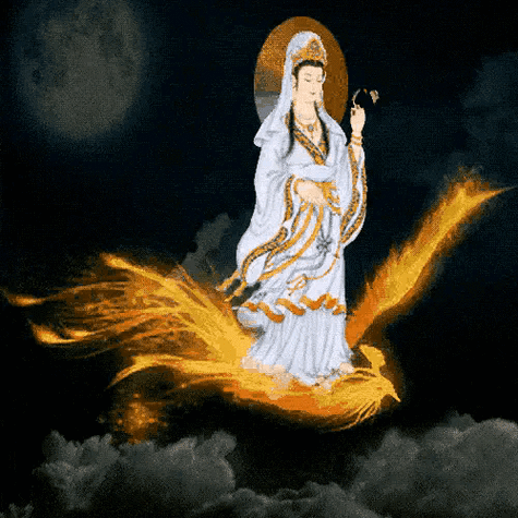 500_500gif 动态图 动图