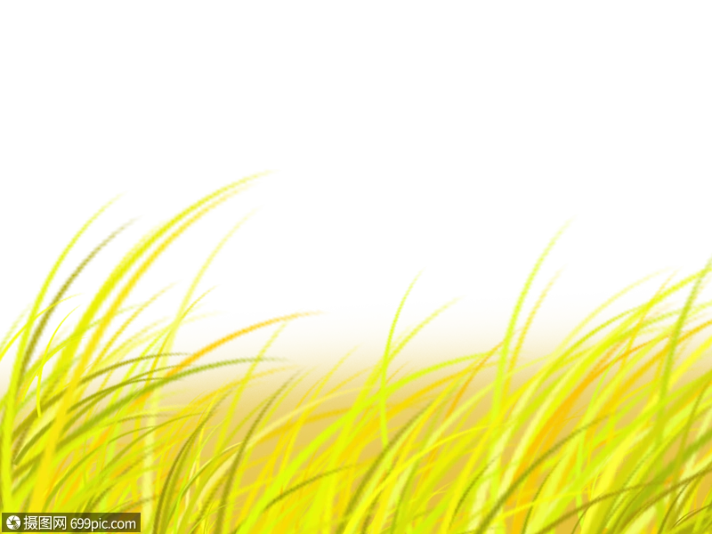 手绘小满麦浪png免抠素材