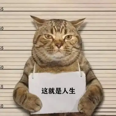 恶搞的猫举牌子拍囚犯照片头像
