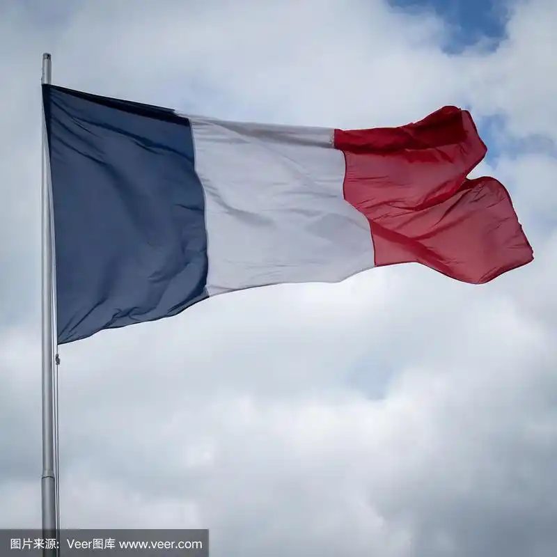 法国的国旗