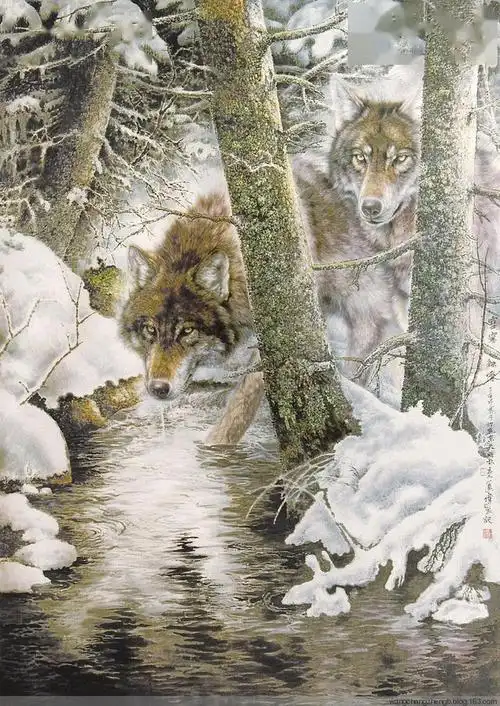 中国左家狼左进伟的工笔狼画欣赏
