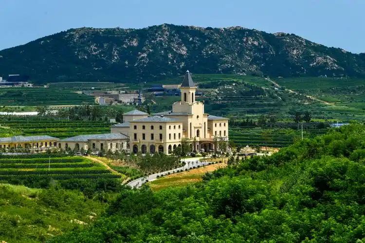 烟台市蓬莱区大辛店镇坚持生态文明理念建设绿色生态城镇