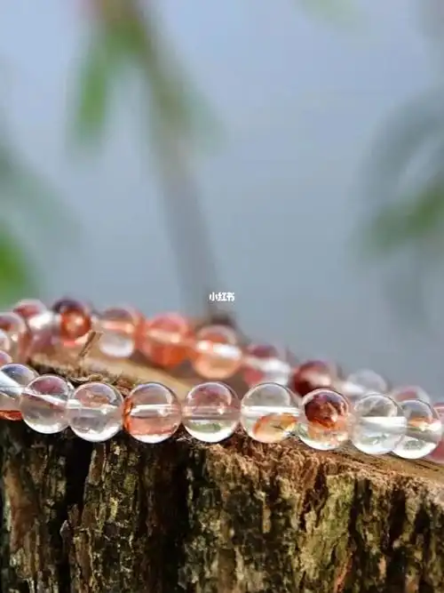 最近新宠鸩羽幽灵