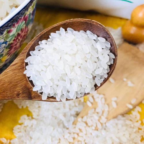 金八素2020年新米基地育黄金晴富硒粳米原阳大米5斤包邮非抛光