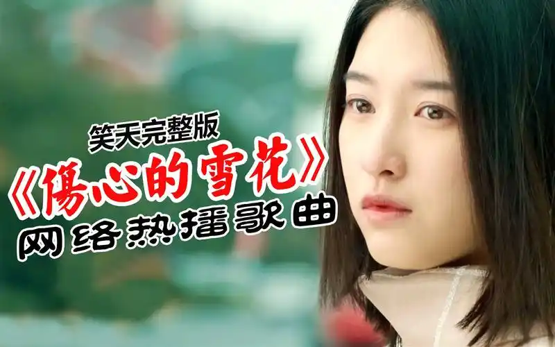 笑天伤感情歌《伤心的雪花》完整版,你转身后让我放不下!