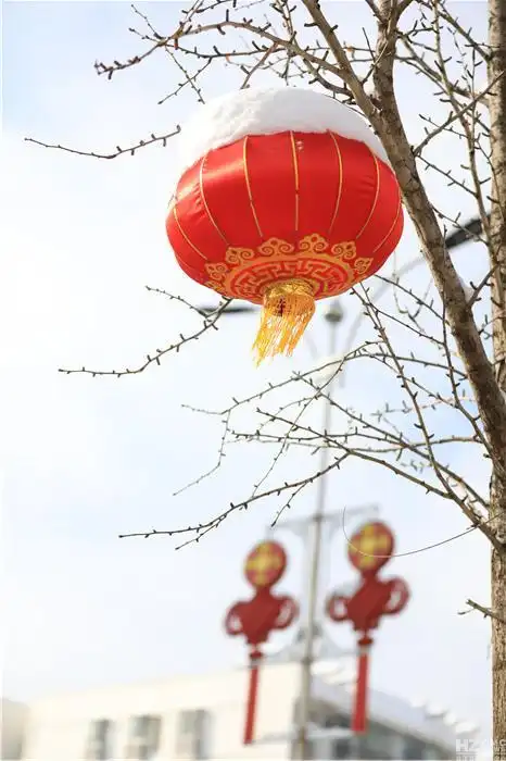 会泽:大年初三,大红灯笼映雪景