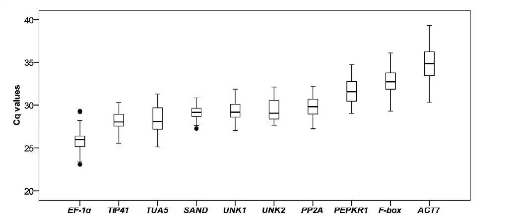 箱线图boxplot的技术细节及应用