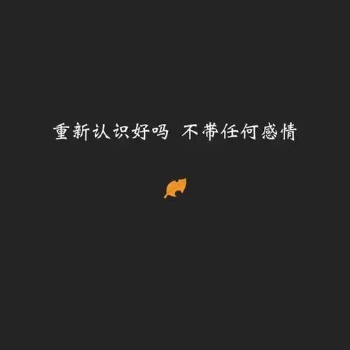 表达别人不理解你句子心累且无人理解的说说