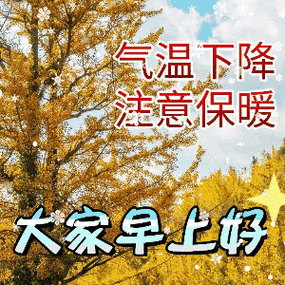 11早安暖心祝福动态图片 微信朋友圈早晨问候语.-csdn博客