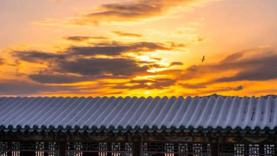 在仙界巡山的日子