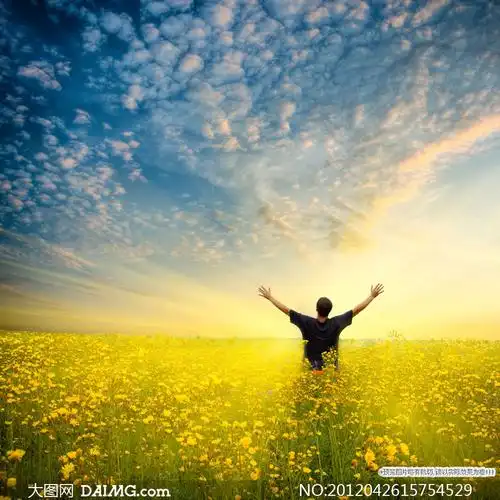 站在花丛中的男人背影高清摄影图片