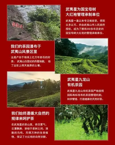 武夷山大红袍茶叶 500g武夷岩茶 乌龙茶茗茶 武夷星大红袍散装