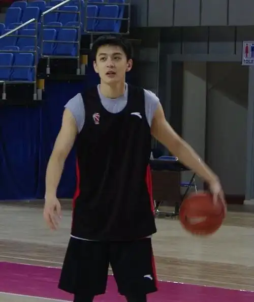 (年轻时候的杨鸣)