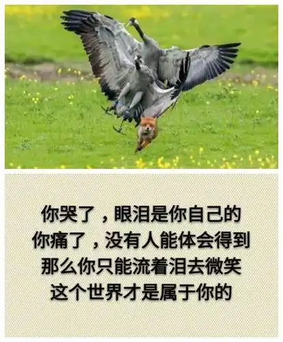 你经常安慰自己的话是什么?