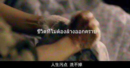 526_275gif 动态图 动图
