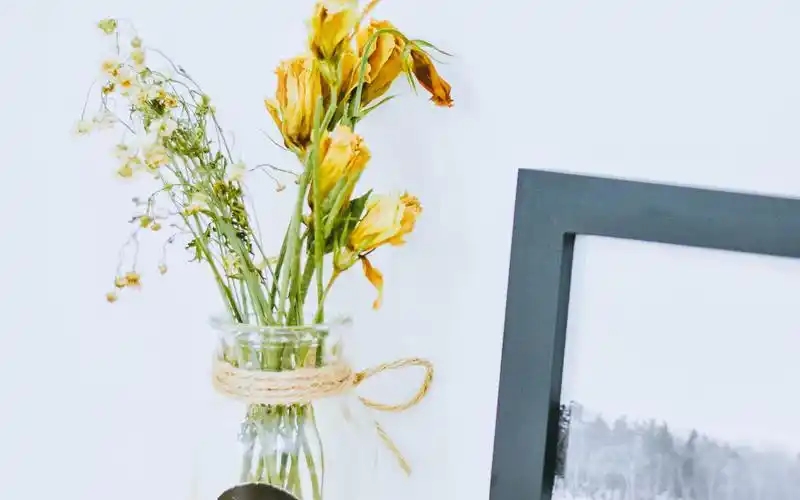 小清新静物高清唯美意境图片壁纸