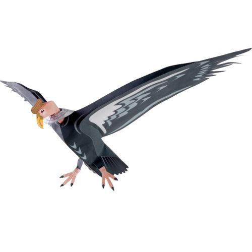 儿童益智diy立体手工制作卡通动物小鸟秃鹫秃鹰3d纸模型纸艺玩具