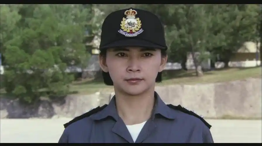 神勇飞虎霸王花