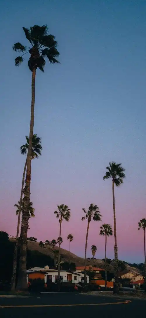 #二次元新鲜事##春天壁纸#