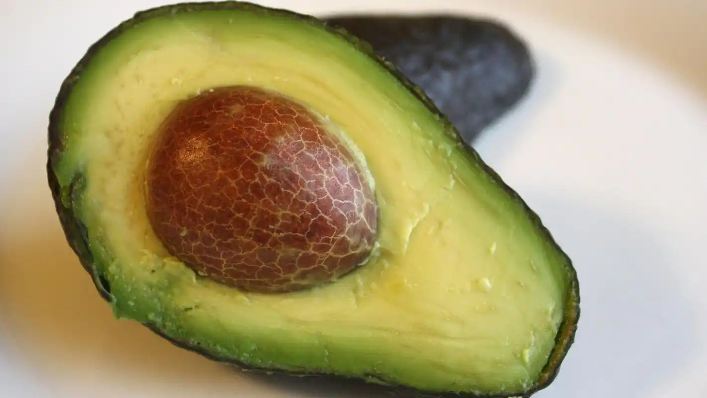 牛油果图片高清营养美食素材壁纸