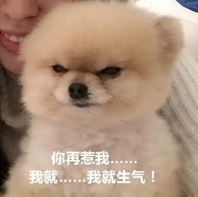 我就生气图片_我就生气动态图_我就生气表情包gif动图下载_soogif