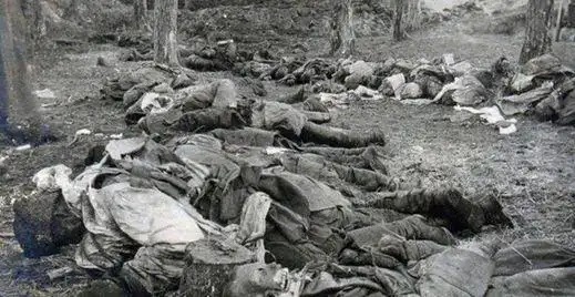 绝地反杀!数十万军人阵亡的血腥肉搏扭转一战战局