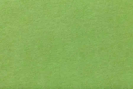 浅绿色哑光背景的绒面革面料, 特写.