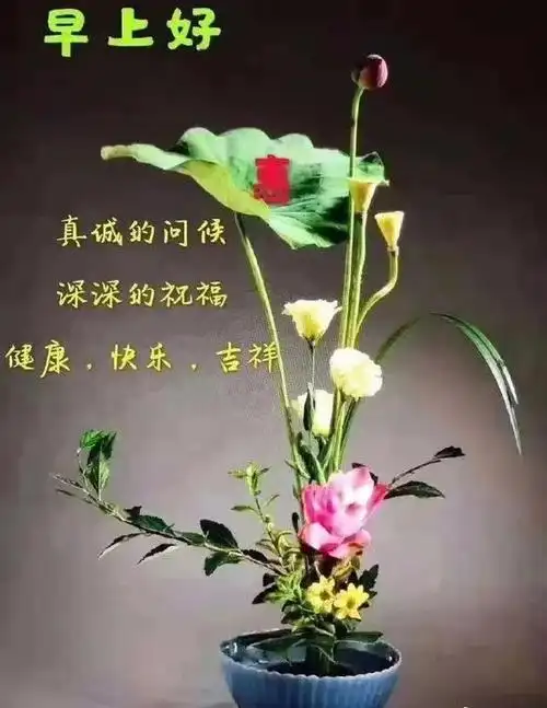 最新版早上好问候语句,早晨好祝福图片表情带字
