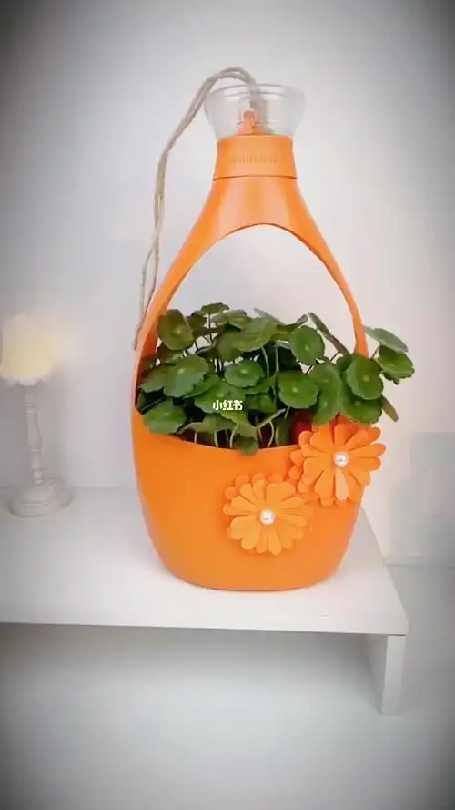 洗衣液瓶子不要扔,做成吊篮花瓶放在家里也不错呢#工艺 #创意手工