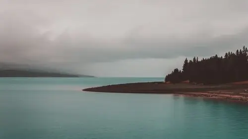 壁纸 海,海岸,树木,云,雾,早晨 5120x2880 uhd 5k 高清壁纸, 图片