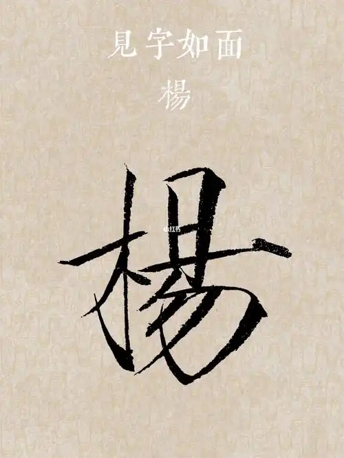 见字如面第二弹杨