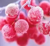 梦幻风景图片头像点击鼠标右键下载