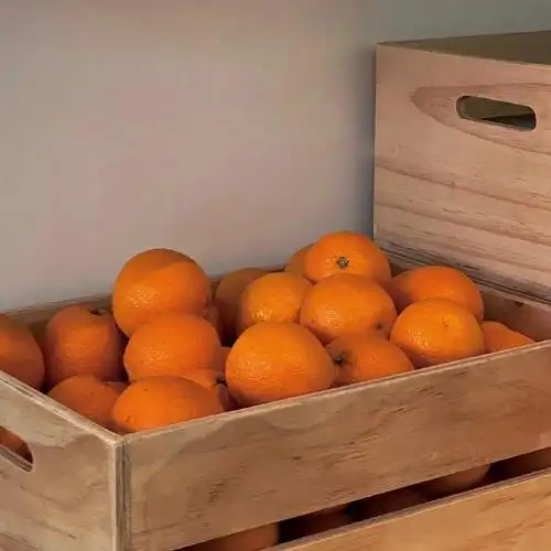 橙色背景图ins高级抱图吱一声