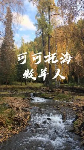 可可托海牧羊人