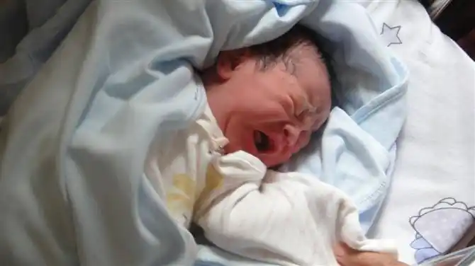 做试管婴儿,要多少颗卵子才能生一个孩子?