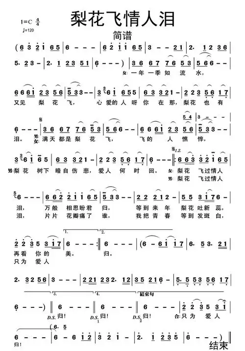 梨花飞情人泪歌曲歌词简谱