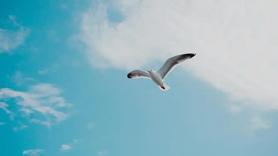 简约淡雅壁纸【17】(小清新静态壁纸) - 静态壁纸下载 - 元气壁纸