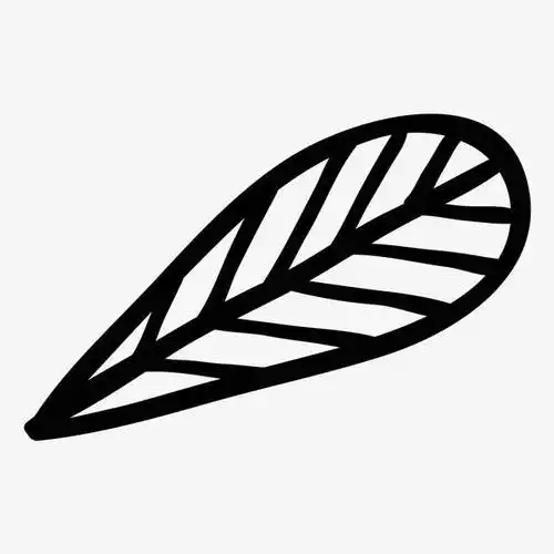 简约叶子图案