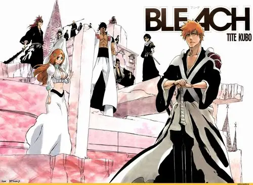 请问谁有这张bleach 死神的高清原图呀?