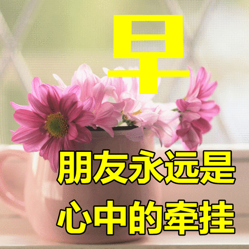 最新好看的早安祝福图片大全,早上好漂亮问候图片_朋友_时光_开心