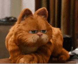 牛奶?啤酒?椰子水?巧克力?味道口感,任猫搭配.拿铁?布列夫?摩卡?