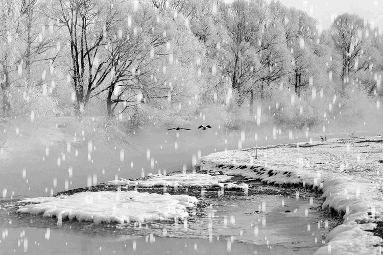 【星移斗转一周天】🌴2019-6-12 - 美篇