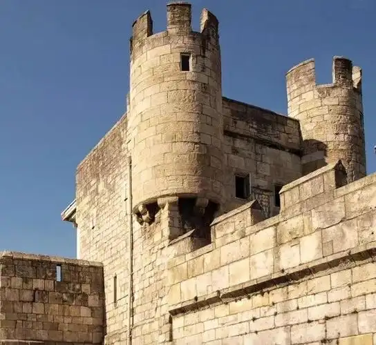 一起来热闹一下吧!_维京