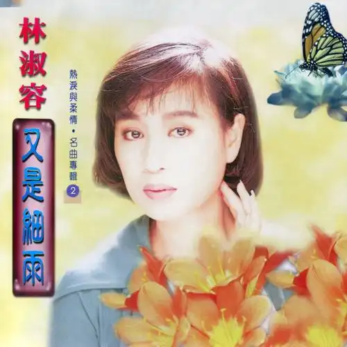 林淑容 - 几时再回头