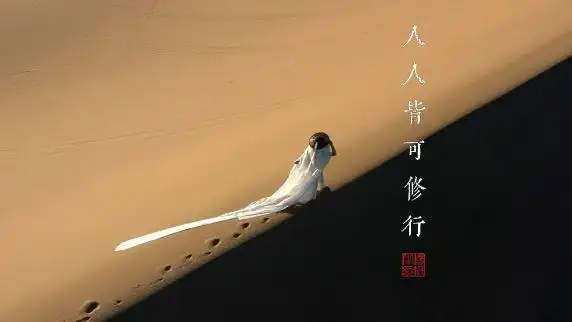 修行是我们每个人的必需品吗?#修心 #国学智慧