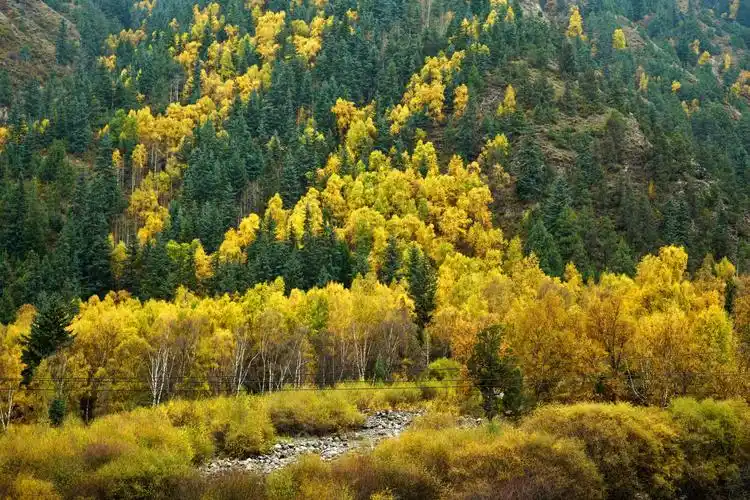黄南州麦秀林场入选首批全国森林康养林场