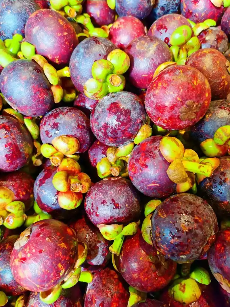 96山竹是一种热带水果,具有清热解毒,润肠通便,降血压的功效 - 抖音