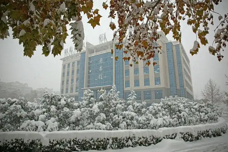 一场雪,才知道河南林业职业学院校院有多美……作者:李当斌