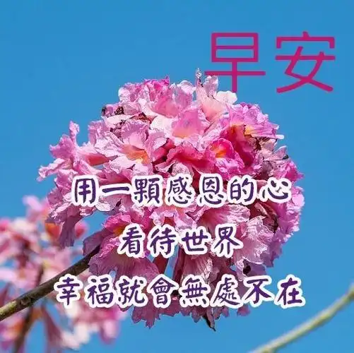 早安问候语图片带字 早上好的问候语