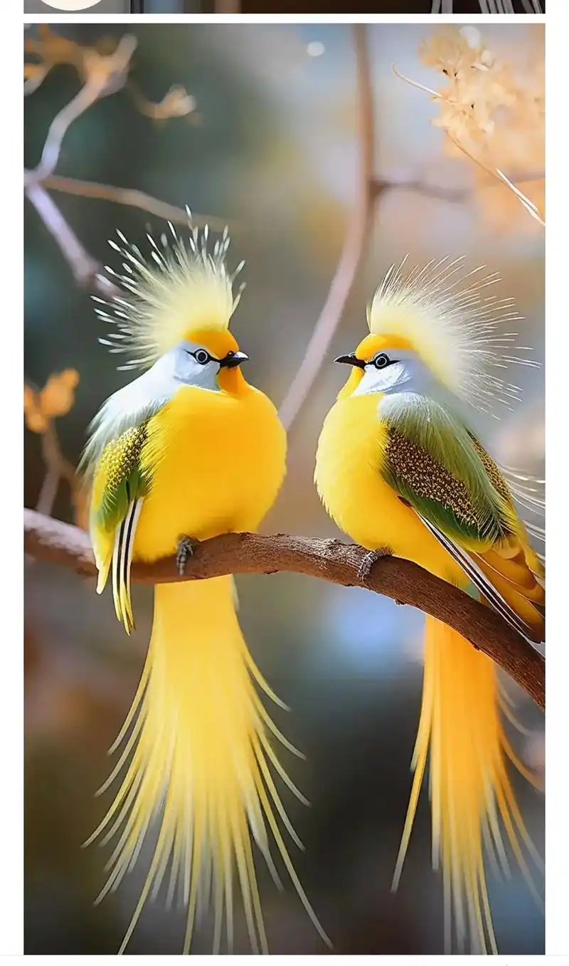 树上的鸟儿成双对,吉祥如意幸福鸟! - 抖音